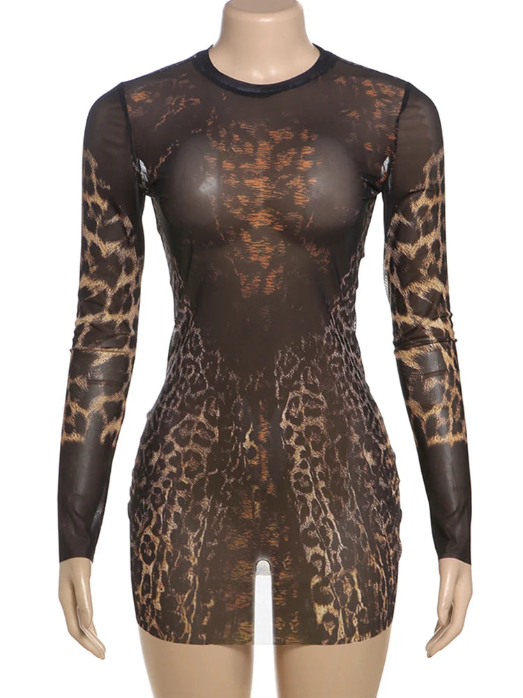 Sheer Leopard Print Stretch Dress – Midnight Party Look