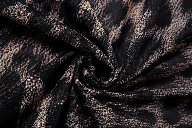Sheer Leopard Print Stretch Dress – Midnight Party Look